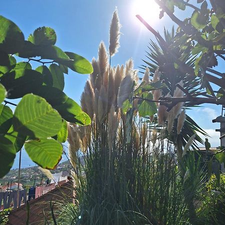 Casa-Albatros Βίλα Ponta do Sol  Εξωτερικό φωτογραφία