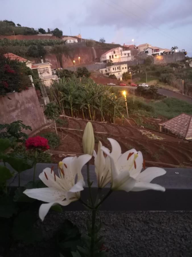 Casa-Albatros Βίλα Ponta do Sol  Εξωτερικό φωτογραφία