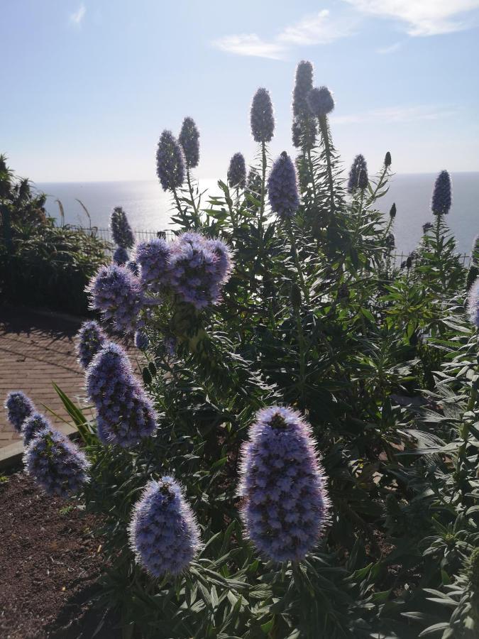 Casa-Albatros Βίλα Ponta do Sol  Εξωτερικό φωτογραφία